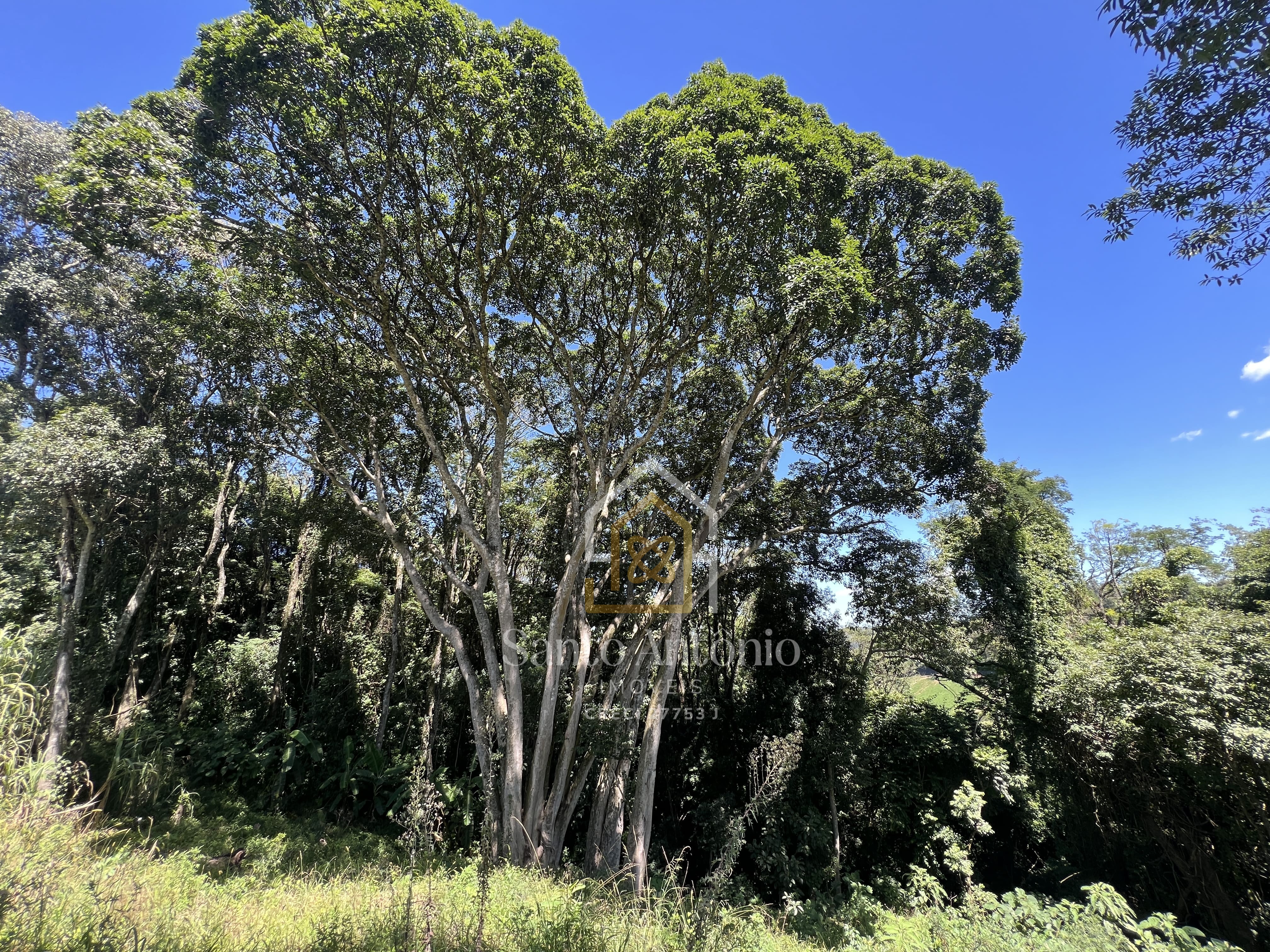 Sítio - Capela São Carlos